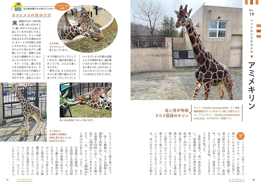 81S5KS+rjkL._AC_UF1000, 81S5KS+rjkL._AC_UF1000,